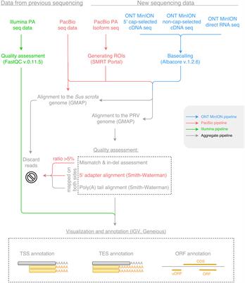Multi-Platform Sequencing Approach Reveals a Novel <mark class="highlighted">Transcriptome Profile</mark> in Pseudorabies Virus